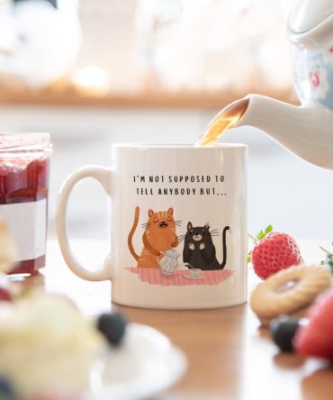 I'm not supposed to tell anyone but... mug