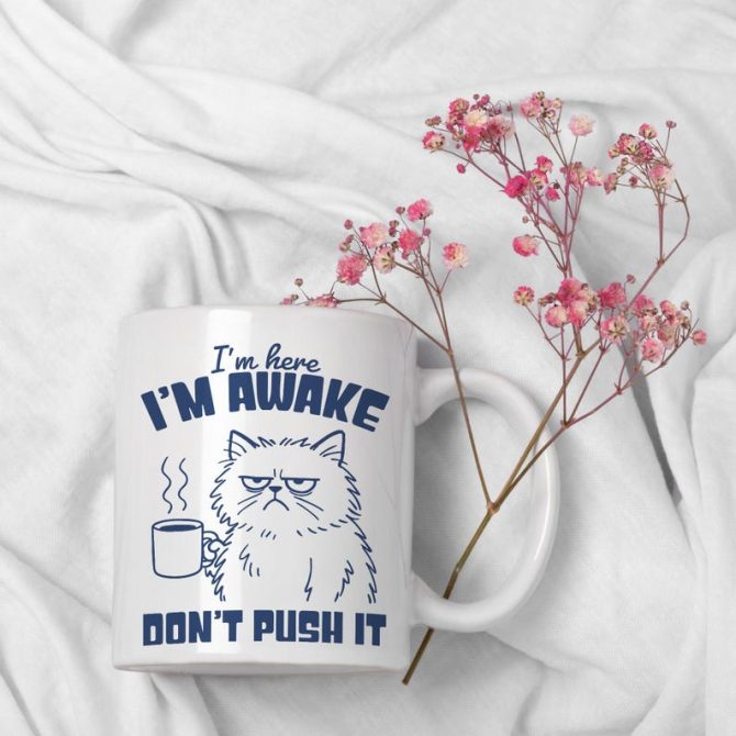 Grumpy Cat Mug, Funny I'm Here, I'm Awake, Don't Push It Coffee Cup - Image 3