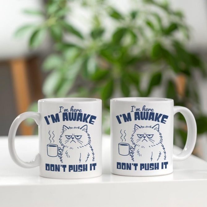 Grumpy Cat Mug, Funny I'm Here, I'm Awake, Don't Push It Coffee Cup