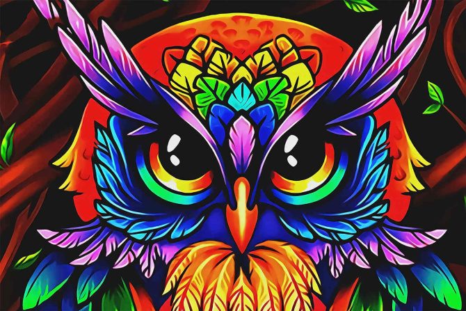 Colorful Owl Art Bedding Set Duvet Cover And 2 Pillowcases - Image 5