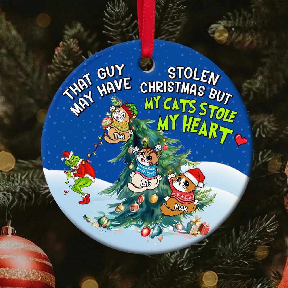 Personalized Gifts For Cat Lover Christmas Ornament 03Acpu211024