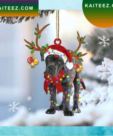 Cam Newton Christmas Xmas Tree Christmas Ornament