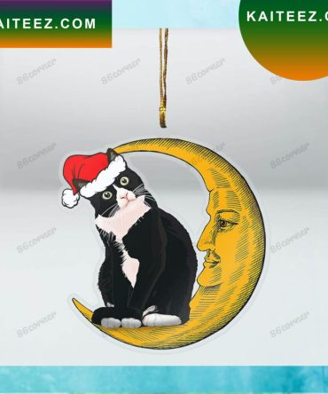 Cat On The Moon Christmas Ornament