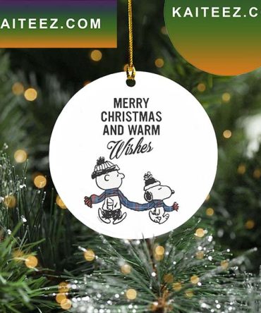 Charilie Brown And Snoopy Merry Christmas And Warm Wishes Snoopy Christmas Decorations
