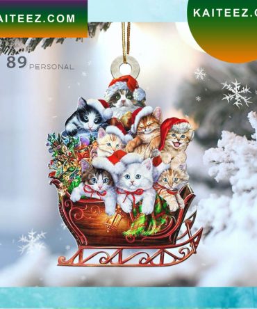Cute Cats On The Sledge Christmas Holiday Two Sided Christmas Ornament