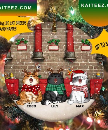 Funny Cat Personalized Christmas Ornament