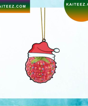 Gearhumans 3D Christmas Santa Hat Raspberry Fruit Christmas Customchristmas Ornament