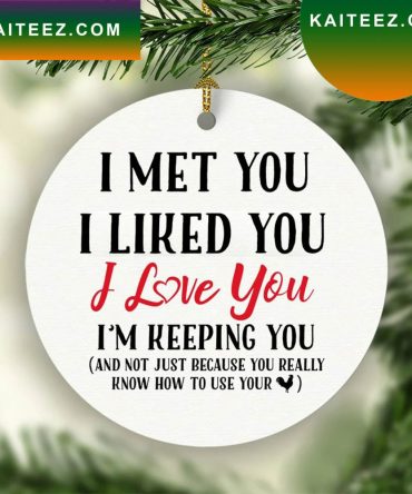 I Met You I Liked You I Love You And Not Just Because You Really Know How To Use Your Cock Funny Christmas  Ornament