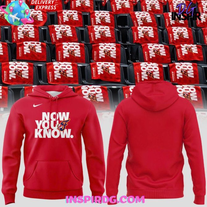 Indiana Fever Now You Know Special Nike All Over Print Hoodie