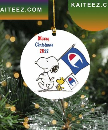 Snoopy And Woodstock X Champion Merry Christmas  Christmas Snoopy Decor