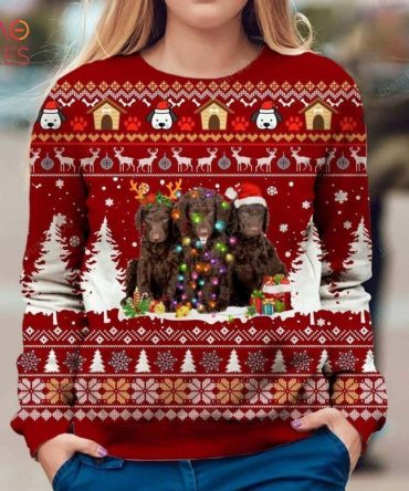 Best Curly Coated Retriever Ugly Christmas Sweater Ugly Christmas Sweater Christmas Ugly Christmas Sweaters Hoodie