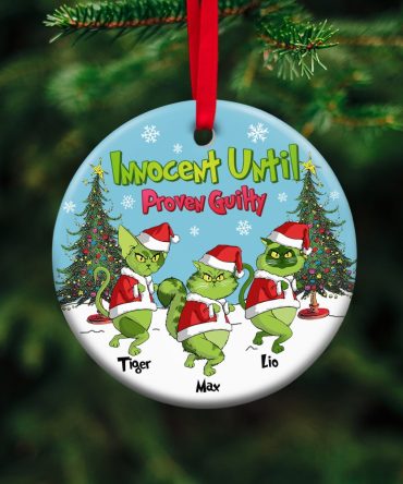 Personalized Gifts For Cat Lover Ornament 03Hutn190724 Christmas Gifts