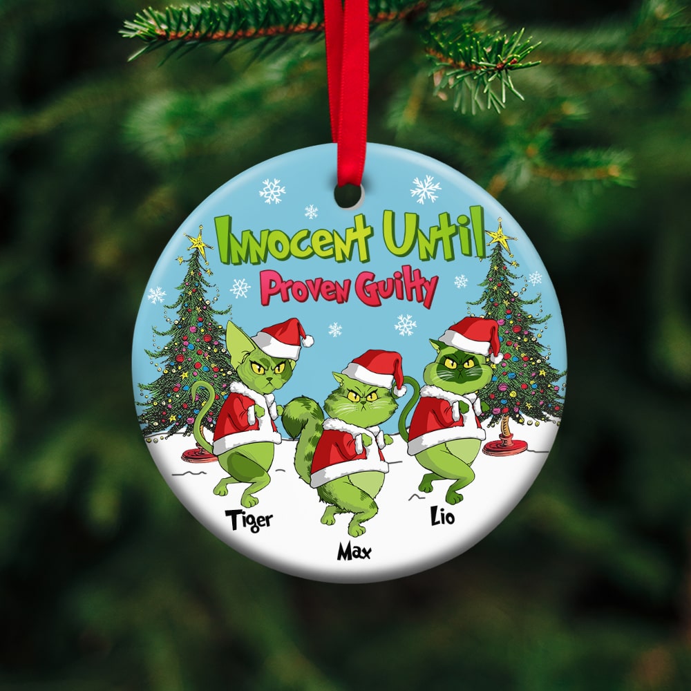 Personalized Gifts For Cat Lover Ornament 03Hutn190724 Christmas Gifts