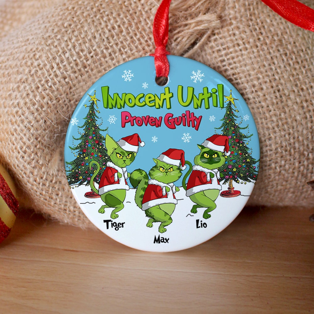 Personalized Gifts For Cat Lover Ornament 03Hutn190724 Christmas Gifts - Image 2