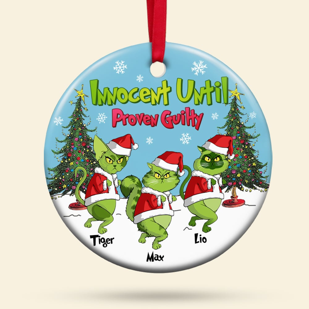 Personalized Gifts For Cat Lover Ornament 03Hutn190724 Christmas Gifts - Image 4