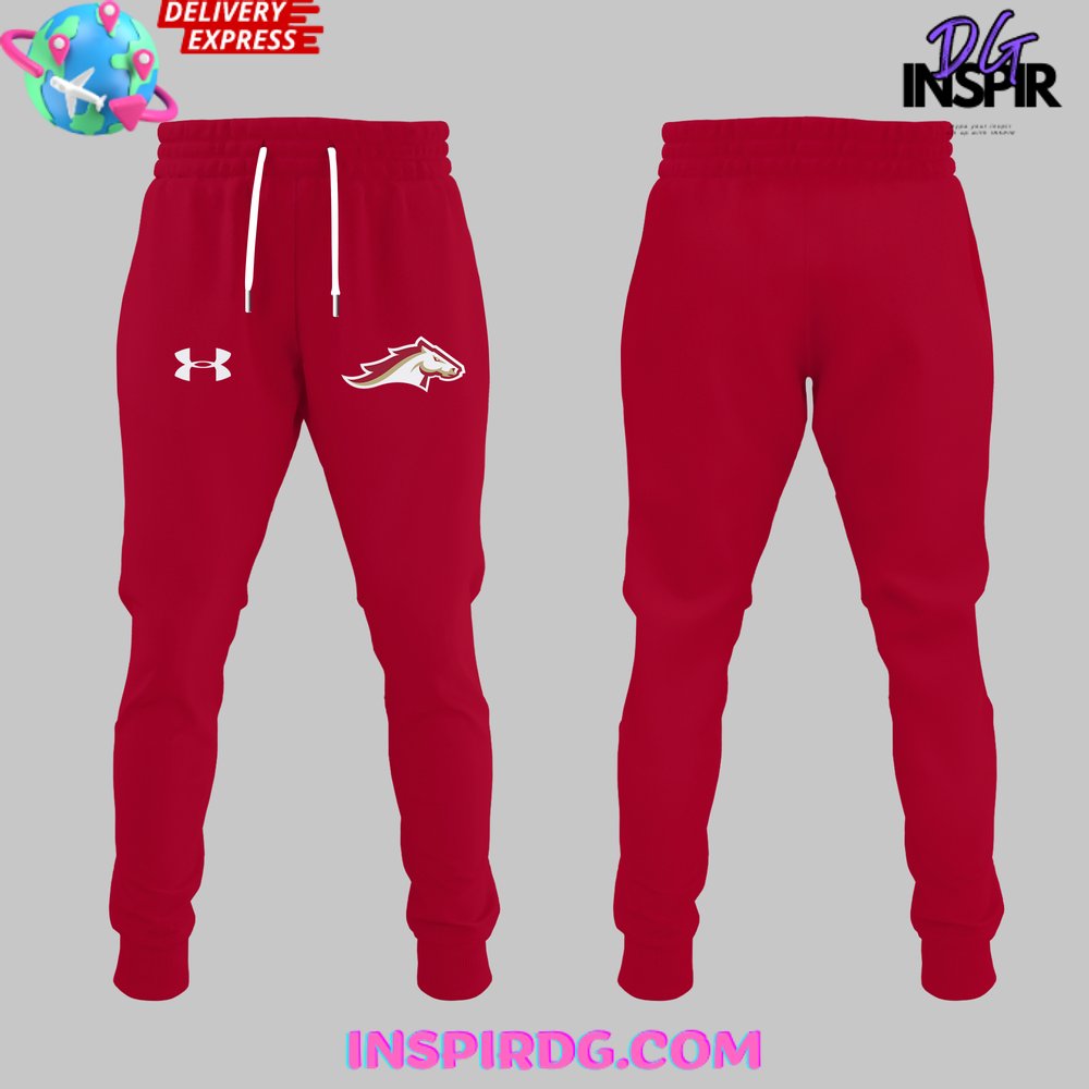 Special Birmingham Stallions Ufl Champions 2024 Hoodie - Image 5